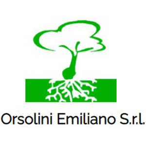 Orsolini Emiliano S.r.l.